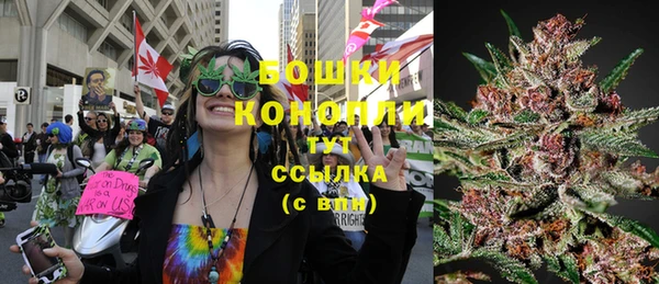 трава Абаза