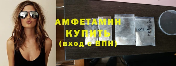 прущие грибы Медвежьегорск