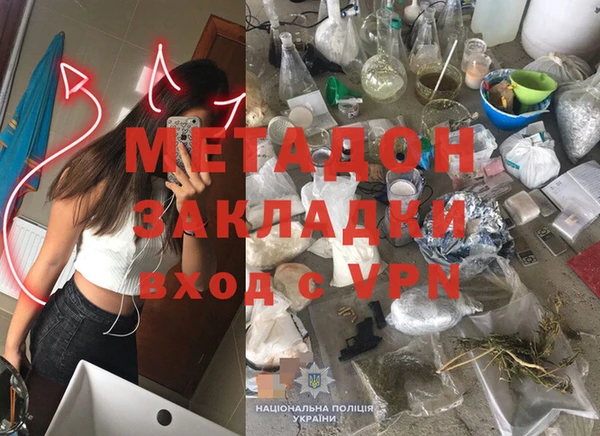 прущие грибы Абдулино