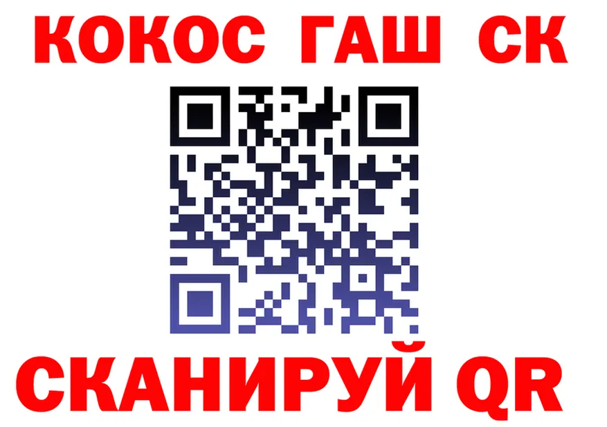 A PVP СК ТОР дарк нет блэк спрут Суздаль